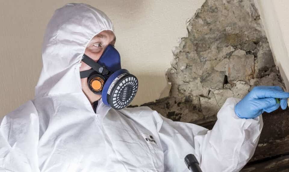 asbestos testing in Brisbane